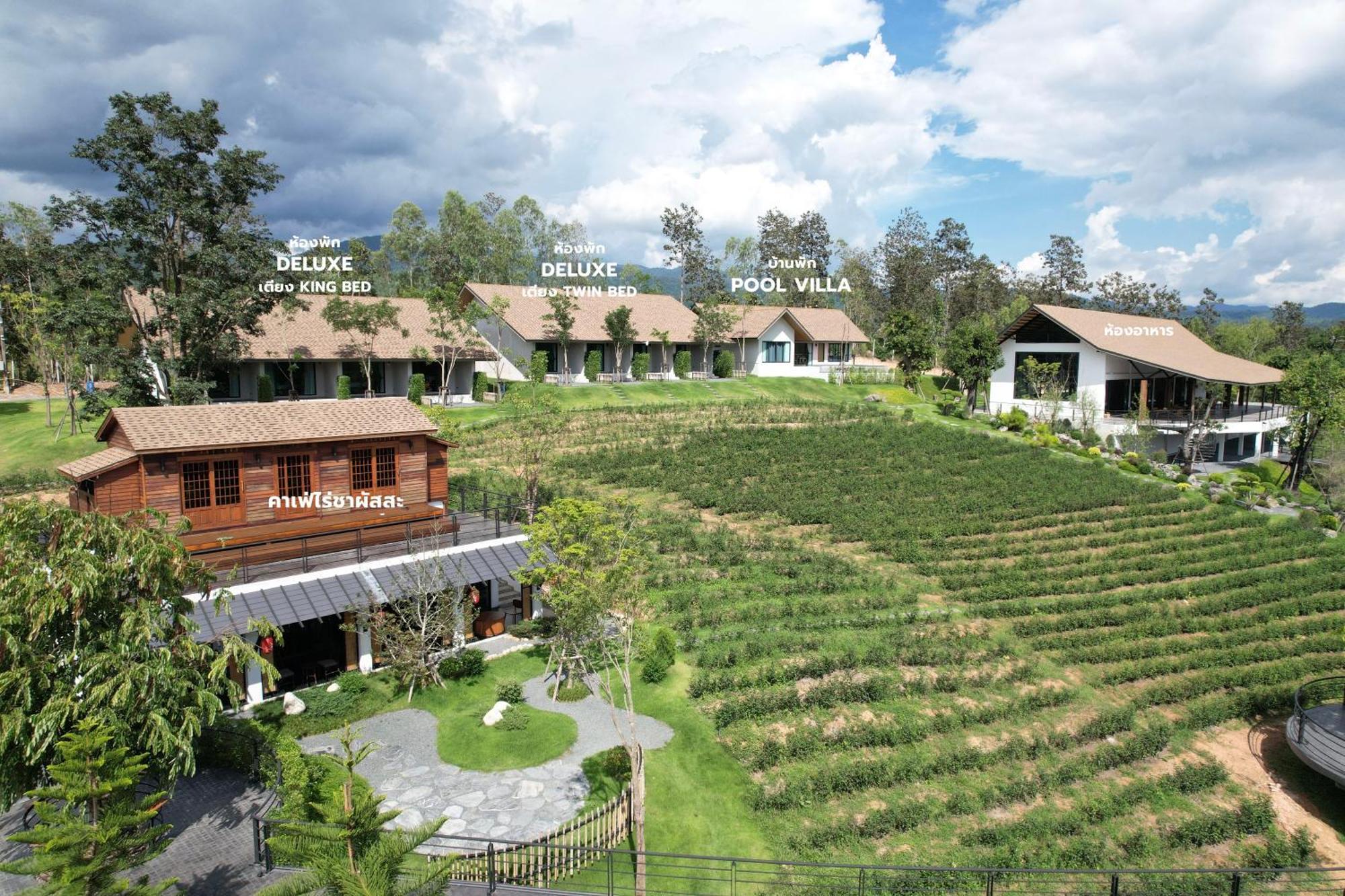 Отель Passa ผัสสะ Tea Plantation @Mae On Ban Huai Kaeo Экстерьер фото